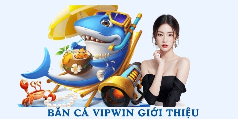 Sơ lược những thông tin cơ bản về bắn cá Vipwin